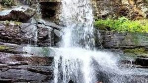 images (69)