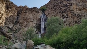 باغگل
